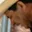 Rostro 6