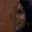 Rostro 5