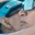 Rostro 2