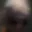 Rostro 2