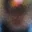 Rostro 4