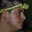 Rostro 2
