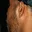 Rostro 3
