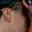Rostro 5