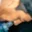 Rostro 1