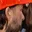 Rostro 11