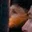 Rostro 47