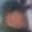 Rostro 52