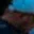 Rostro 44