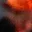 Rostro 39