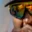 Rostro 4