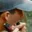 Rostro 2