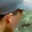 Rostro 2