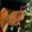 Rostro 3