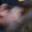Rostro 2