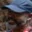 Rostro 3