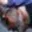 Rostro 2