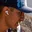 Rostro 1