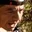 Rostro 2