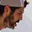 Rostro 1