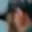 Rostro 2