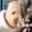 Rostro 2