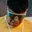 Rostro 1