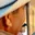 Rostro 2