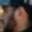 Rostro 3
