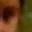 Rostro 4