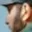 Rostro 3