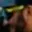 Rostro 4