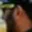 Rostro 4