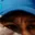 Rostro 1