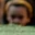Rostro 8