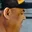 Rostro 2