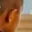 Rostro 11