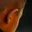 Rostro 7
