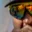 Rostro 4