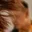 Rostro 20