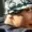 Rostro 6