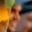 Rostro 5
