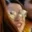 Rostro 4