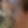 Rostro 5