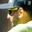 Rostro 4