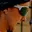 Rostro 2