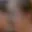 Rostro 5