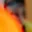 Rostro 3