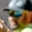 Rostro 2