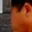 Rostro 2